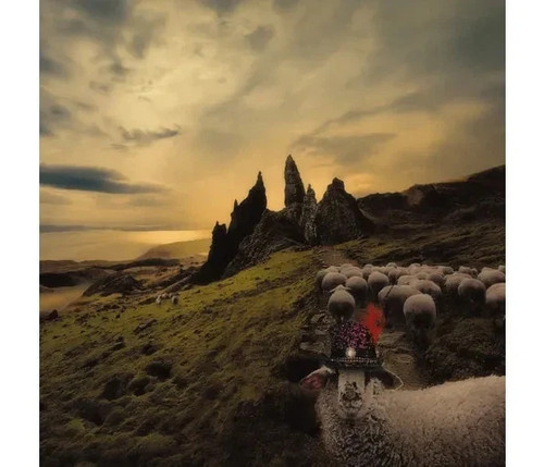 Franck carducci sheeple cd - sheeple,,