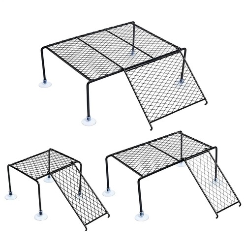 Turtle dock basking - 1x,
