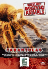 World's Most Dangerous Animals - Tarantulas DVD Special Interest (2005)