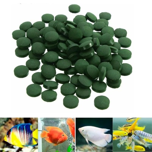 100pcs spirulina tablets - 100pcs,