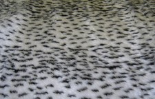 fur fabric by the metre