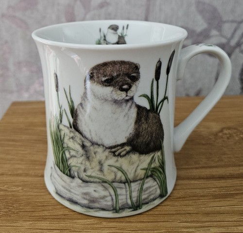 Leonardo collection china - collection,