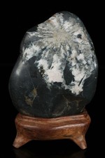 Japanese Stone BONSAI SUISEKI