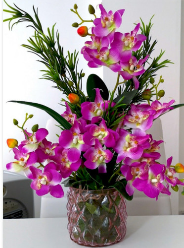 Nice high pink orchid - nice,
