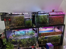 Aquarium Fish Tank Tropical LED Lighting 19/32 /40 /65 L (SEE DETAILS)