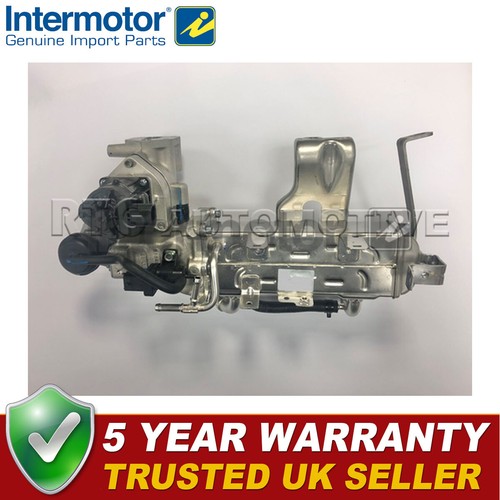 Intermotor egr valve - intermotor,