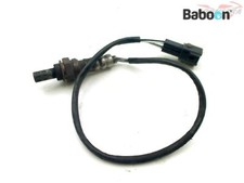 Oxygen Sensor KTM 990