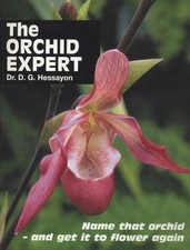 The orchid expert (Paperback)