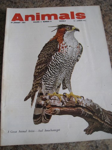 Animals jan 1964 axel - animals,