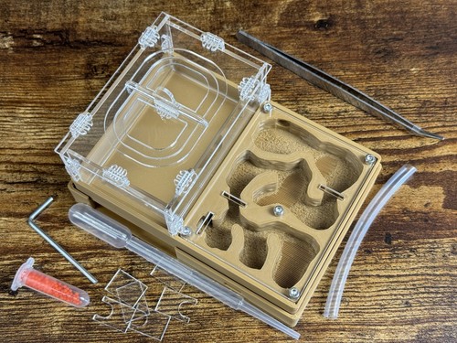 Ant farm easy start anthill - ant,
