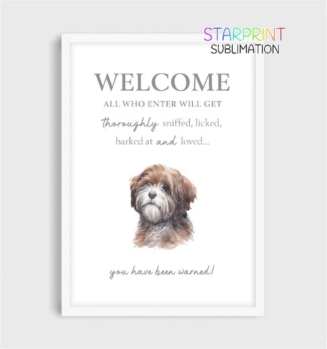 Tibetan terrier welcome - terrier, "welcome"