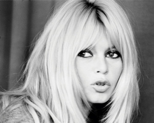 Brigitte bardot 8x10 photo - bardot,