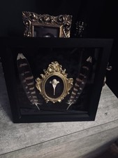 Oddity 8x8 Box Frame With Fox