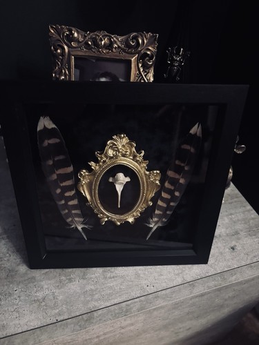 Oddity 8x8 box frame with - oddity,