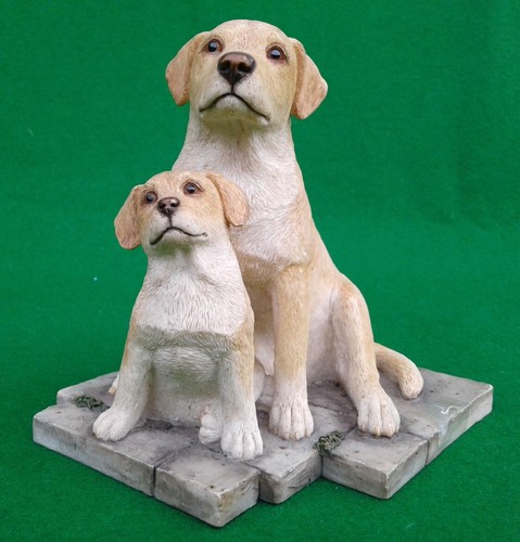 Sherratt simpson labrador - &,