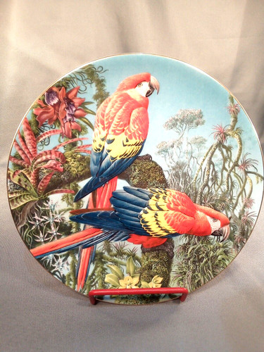 Bone china plate - china,