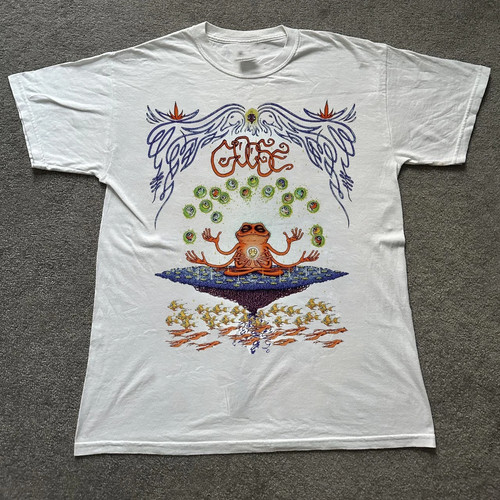 Goose band albums live - albums, in