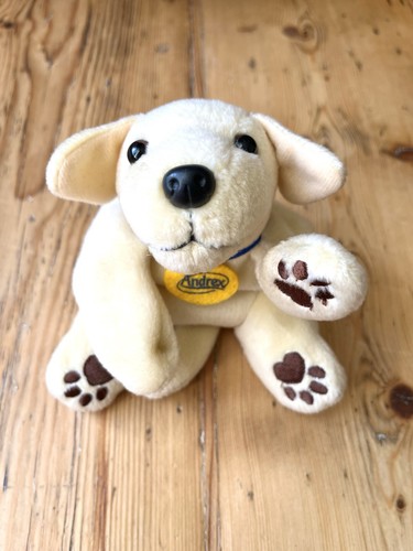 Cute labrador puppy dog - cute,
