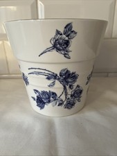 Aynsley Elizabeth Rose Plant