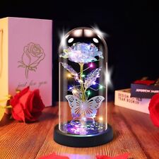 Preserved Flower Rose in Glass