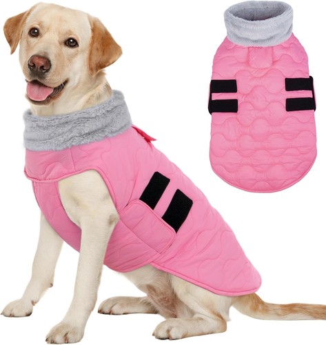 Dog jacket - dog, jacket,