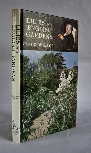 Lilies for english gardens - lilies,