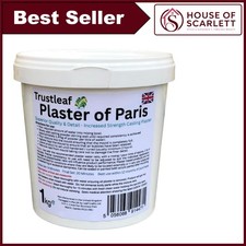 Plaster paris 1kg - tub, white