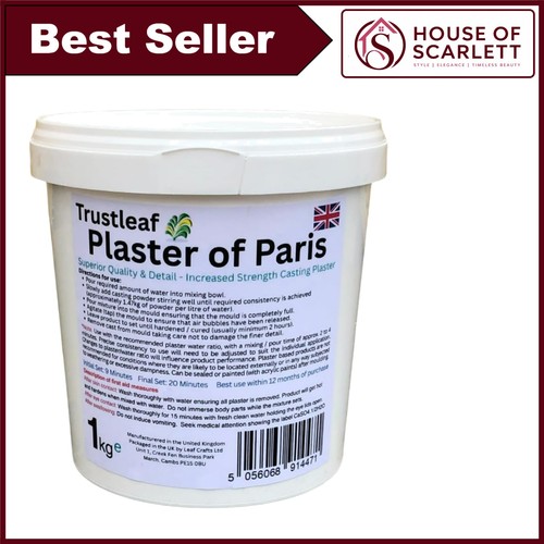 Plaster paris 1kg tub - paris, white