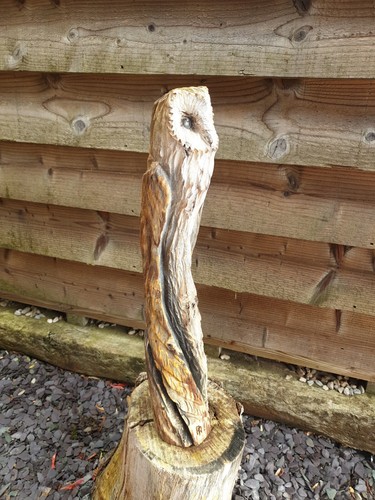 Chainsaw carved owl - ,