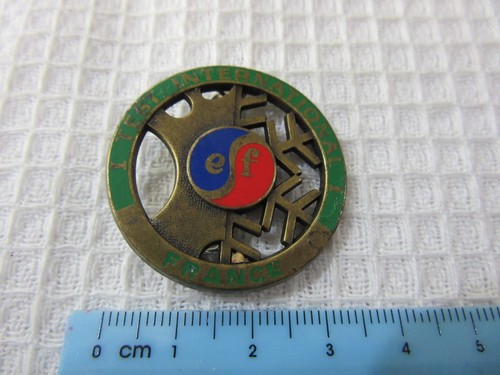 Ski france vintage brooch - ski,