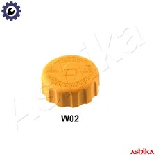 CAP RADIATOR 33-0W-W02 FOR