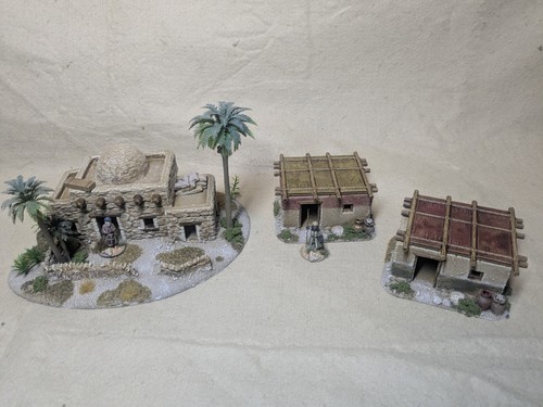 Well painted 28mm desert - 28mm,