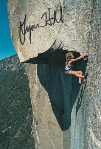 Lynn hill hand - lynn,