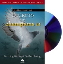 Pigeon Racing: Secrets of