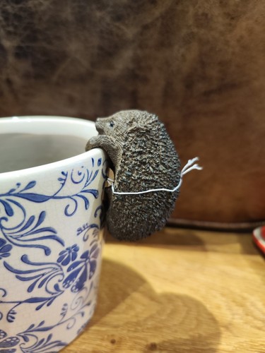 Hedgehog plant pot hanger - plant,