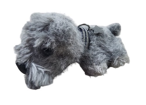 The dog artlist - the,