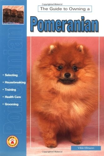 Guide owning pomeranian - guide, to