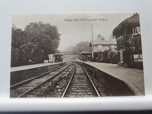 Vintage postcard witley and - vintage,