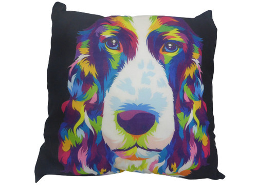 Kozzy springer spaniel - springer,