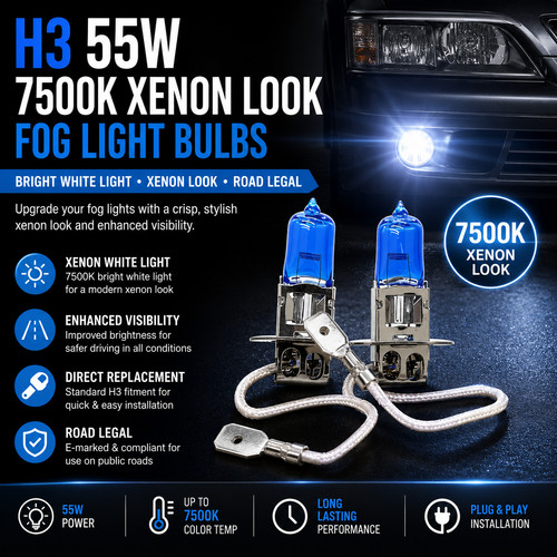 Front fog spot - fog, lights