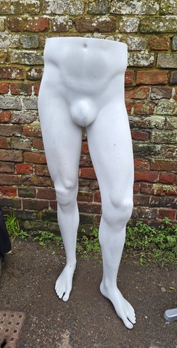 Male mannequin lower body - body, –