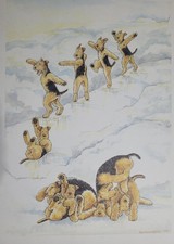 *Special offer* Airedale