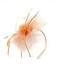 Ladies Feather Aliceband Fascinator Pearl Feather Royal Ascot Weddings Headband