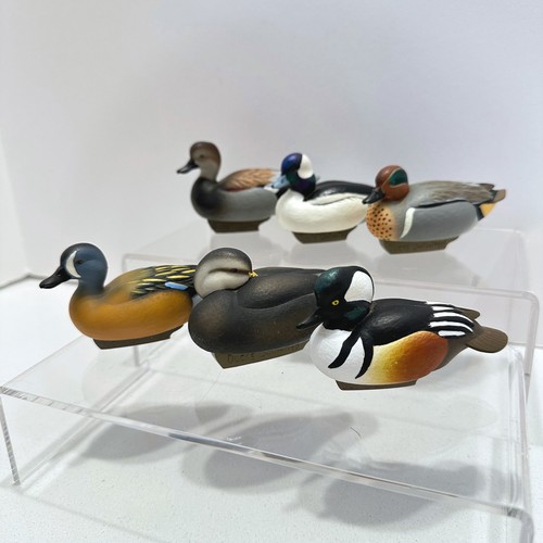 Ducks unlimited jett brunet - jett,