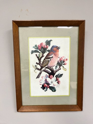 Vintage tunnicliffe - vintage, c.f.