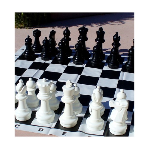 Worldwise chess - chess,