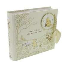 Winnie the Pooh Baby Photo