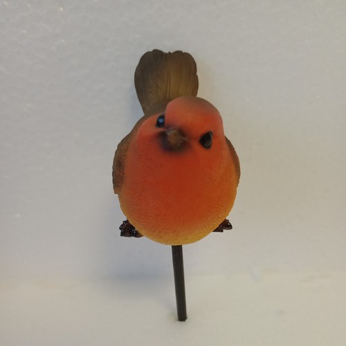 Robin bird plant pal - robin,