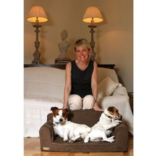 DESIGNER – PET SOFA, DOG