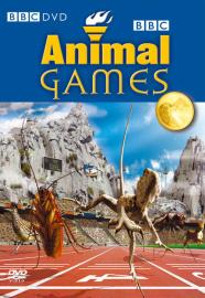 Animal games dvd - animal,